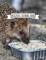 Hedgehog Coloring Book