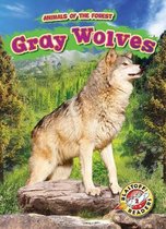 Animals of the Forest- Gray Wolves