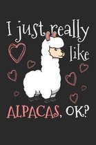 I Just Really Like Alpacas, OK?