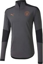 Puma Manchester City  Sportshirt - Maat S  - Mannen - grijs/zwart/koper