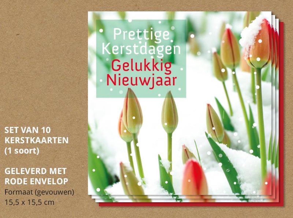 Luxe kerstkaarten met enveloppen, Tulpen in de sneeuw - 10 stuks