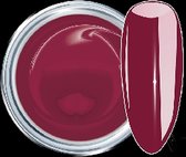 Hollywood Nails - Gellak - Color gel - Suspect Red 561 - 5ml - 1 stuk