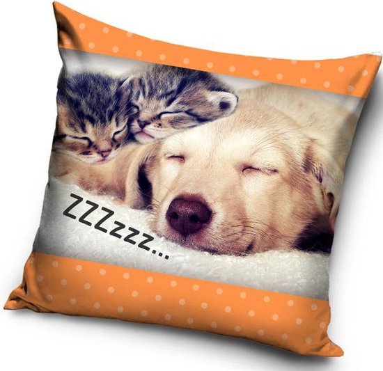 2 slapende kittens en hond - Sierkussen Kussen 40 x 40 cm inclusief vulling