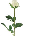 Witte Roos - Kunstbloem Rosa wit - Hoogte 70 cm