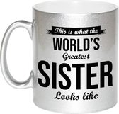 Zilveren Worlds Greatest Sister cadeau koffiemok / theebeker 330 ml