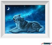 Artstudioclub®  Diamond painting volwassenen volledige bedekking  30x40cm Wolven