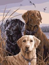 Schilderen op nummer Volwassenen – Paint by number - Verven - 3 Honden