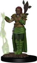 D&D Icons of the Realms Premium Figures: Human Female Druid (painted)