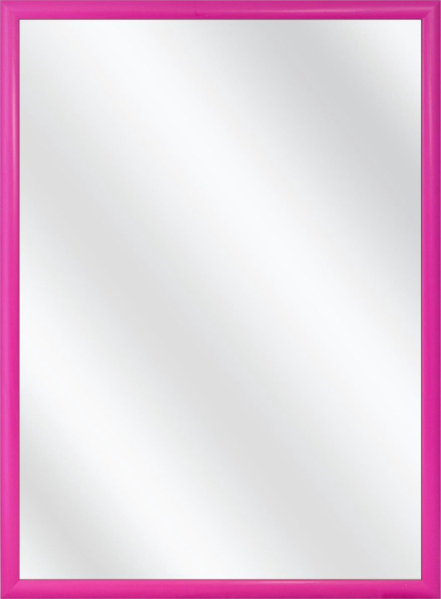 Spiegel met Kunststof Lijst - Roze - 24 x 54 cm