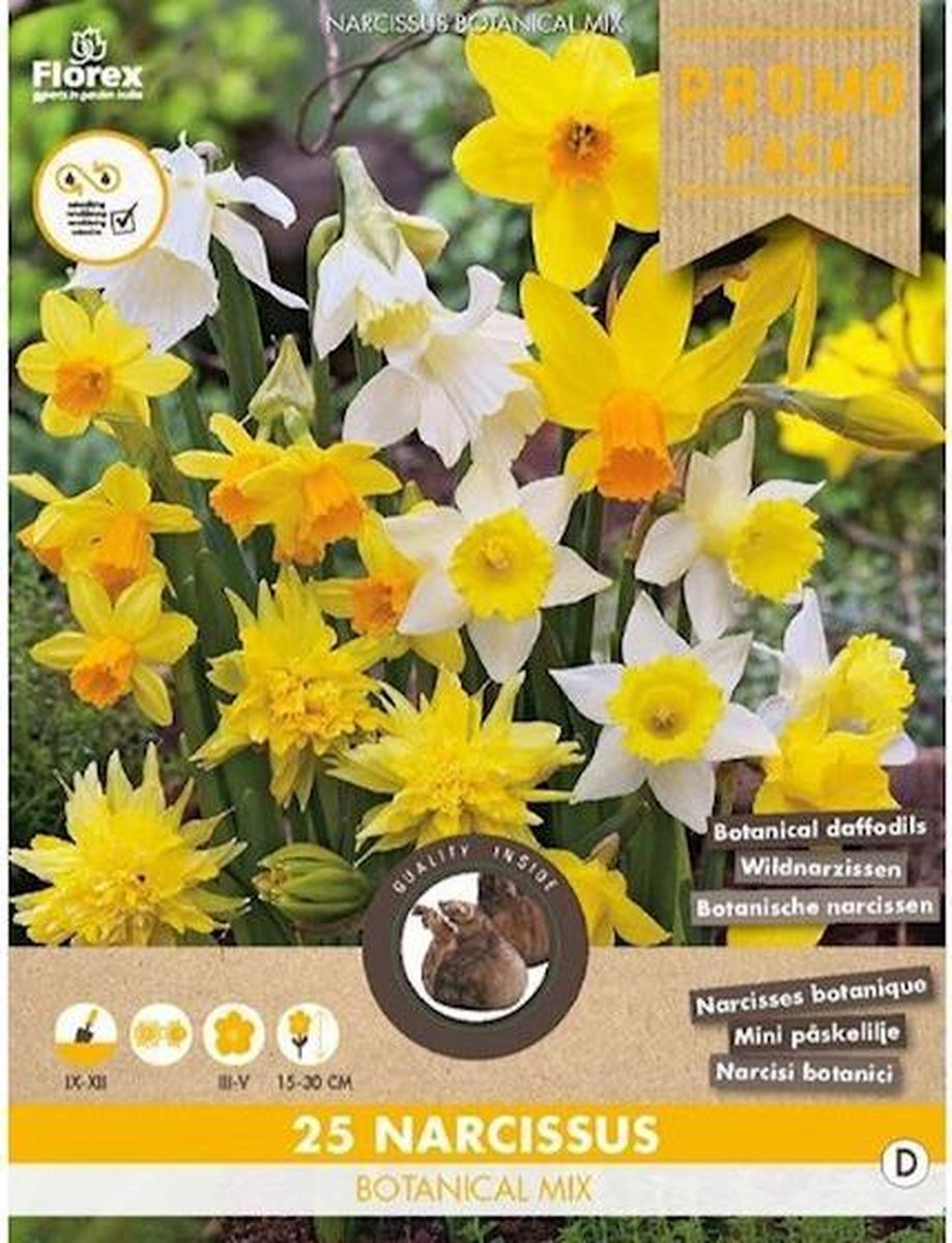 Grootverpakking Botanische Narcis mix 10/12 25st