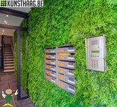 Kunsthaag Vegetatie fijn blad, 3 m2 oppervlakte