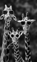 Grappige Giraffen  - 30x50cm - VIERKANT – HQ Diamond Painting volledig dekkend - Diamant Schilderen  voor Volwassenen – dieren - funny