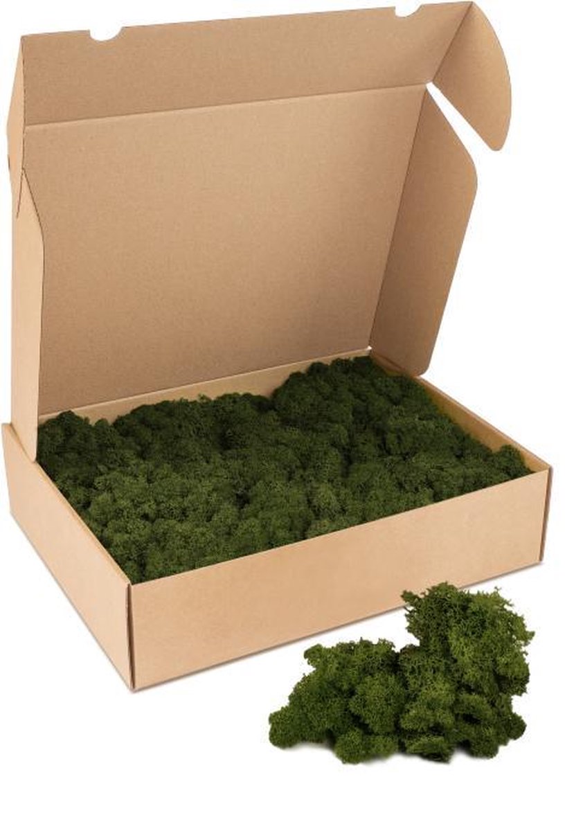 Kleine doos rendiermos - kleur mos: Moss Green (voor o.a. decoratie, mosschilderij of moswand).