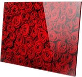 Rode Rozen | 150 x 100 CM | Wanddecoratie | Natuur  | Plexiglas | Schilderij op plexiglas