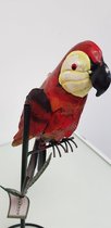 Beeld papegaai rood