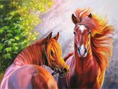Toi-Toys - Diamond Painting - Paarden in het wild - 50x40 cm