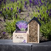 Bijenhotel inclusief BIO zaden Lavendel complete kweekset FSC Hout