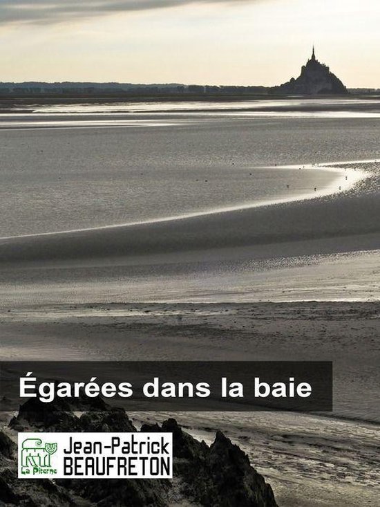 Nouvelle plume - Égarées dans la baie - cover