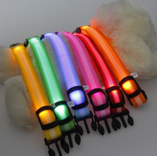 Halsband voor hond met ledlamp - Maat M - Willekeurige kleur - Topco