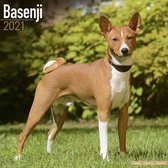 Basenjis - Kongo-Terrier 2021 - 18-Monatskalender mit freier