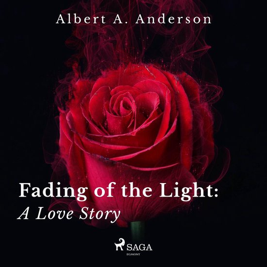 Fading of the Light: A Love Story - cover