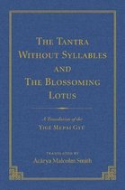 The Tantra Without Syllables (Vol 3) and the Blazing Lamp Tantra (Vol 4): A Translation of the Yig� Mepai Gyu (Vol. 3) a Translation of the Dr�nma Bar