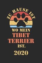 Tibet Terrier 2020