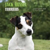 Jack Russel Terriers Calendar 2020