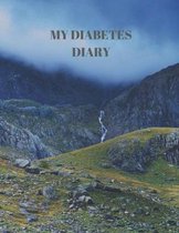 My Diabetes Diary: 90 PAGES OF 8.5 x 11 INCH DAILY RECORD OF YOUR DIABETES CONDITION