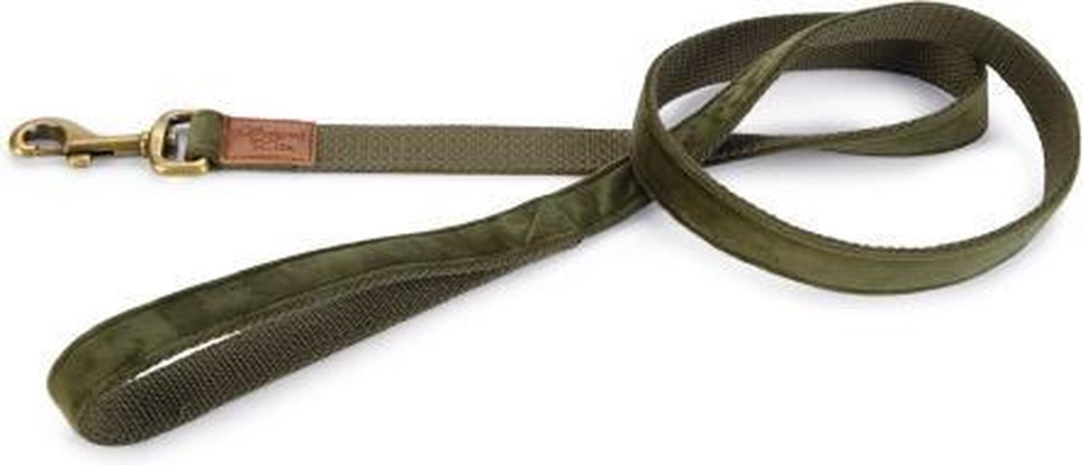 DbL Velura - Hondenriem - Groen - Stof - 120 CM X 25 MM