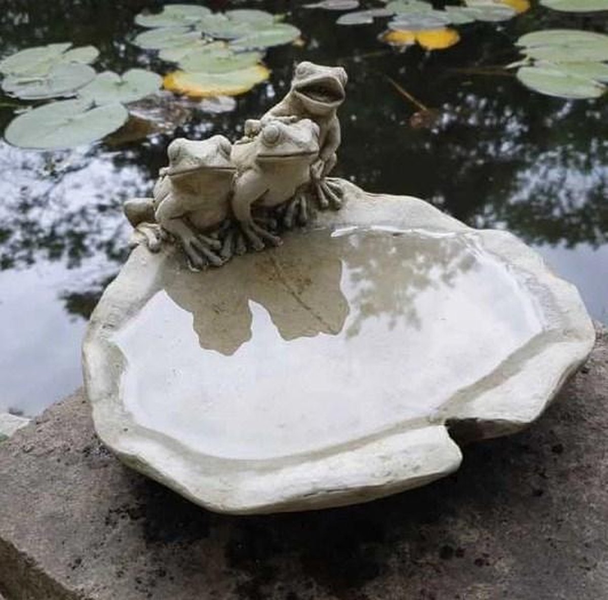 Betonnen tuinbeeld - vogeldrinkschaal - kikkers op lelieblad