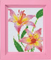 Pixel hobby geschenkdoos Roze Lelies