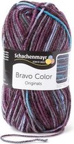 Schachenmayr Bravo Color 50 Gram - 2090