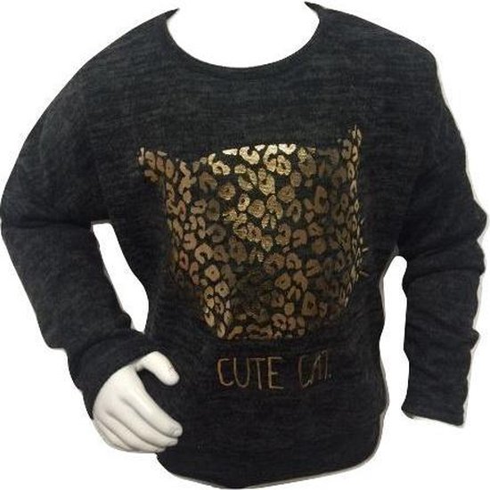 | S&C Meisjestrui Cute Cat blauw 12 Meisjes trui ster blauw 6 | Truien | Kindermode PASik