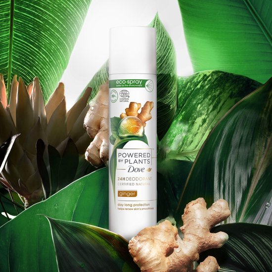 Dove Powered by Plants Deodorant - Ginger - 48 uur bescherming - Vegan -  75ml | bol