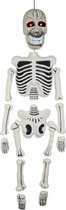 Dansend skelet 150 cm met licht en geluid - decoratieartikel - Halloween