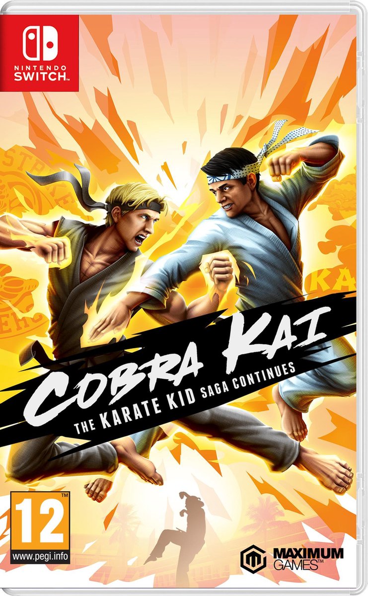 Cobra Kai: The Karate Kid Saga Continues - Switch