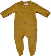 Witlof for Kids - Boxpakje Corduroy - Boxpakjes - Sweet Honey 74/80