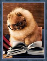 Daimond Painting kit Reading Pomeranian  40x30