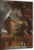 De menagerie, Melchior de Hondecoeter - Foto op Canvas - 75 x 100 cm