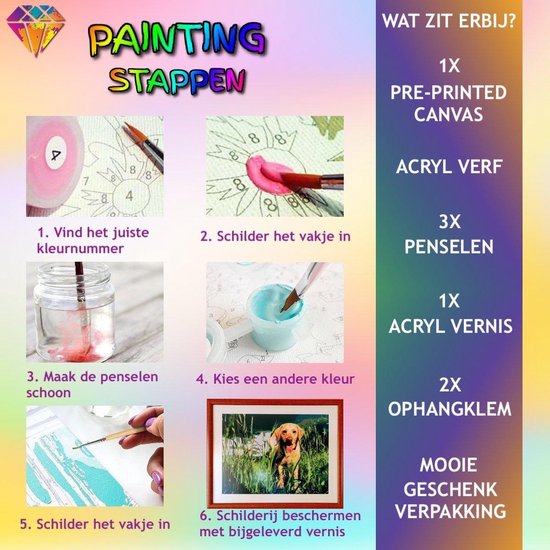 Peinture Par Numero De Table De Chat 40 X 50 Paquet De Passe Hobby Peinture Par Bol Com