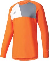 adidas Assita 17 GK Jersey Keepersshirt Heren Sportshirt - Maat XXL  - Mannen - oranje/grijs/wit