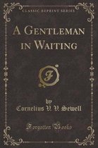 A Gentleman in Waiting (Classic Reprint)