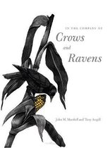 In the Company of Crows & Ravens
