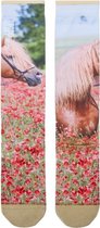 Stapp Horse Knee Socks Chaussettes d'équitation imprimé fleuri cheval - taille 39/42