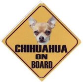 Autobordje Chihuahua Korthaar