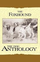 The Foxhound & Harrier - A Dog Anthology (A Vintage Dog Books Breed Classic)
