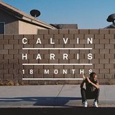 18 Months (LP)