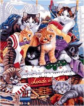 Schilderen op Nummer Katten 40 x 50 Hobby Pakket - Painting by Numbers - Kunst Schilderij Decoratie - Dieren Dier Kat