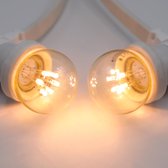 Lichtsnoer wit - 10 meter met 10 lampen - 0.7W LEDs op lange stokjes - kleur van gloeilamp (2650K)